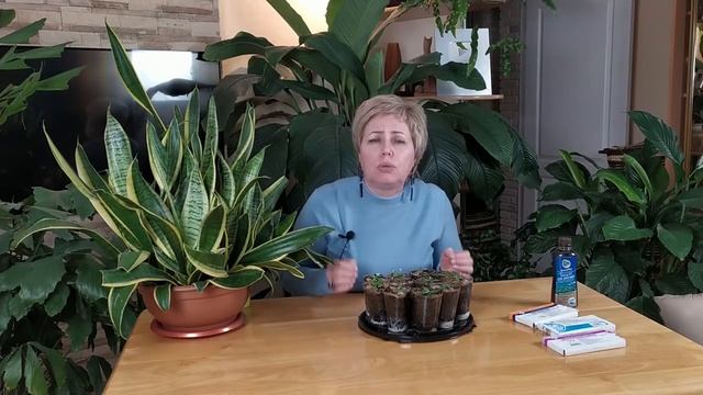 СЕЗОН 2021: УСКОРЯЕМ РОСТ ЭУСТОМЫ инструкция по подкормкам и уходу смотреть онлайн