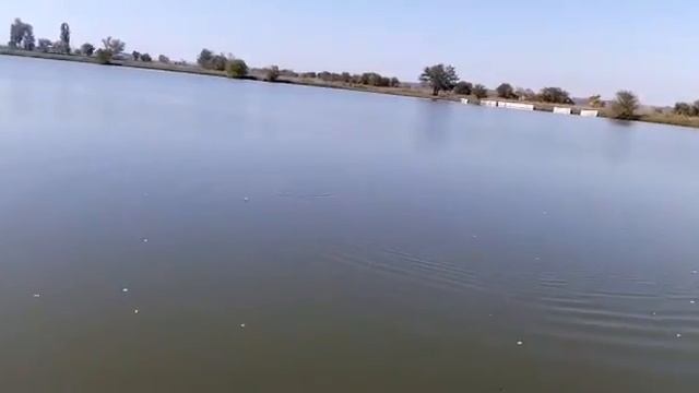 Рыбалка Чёрная речка смотреть онлайн