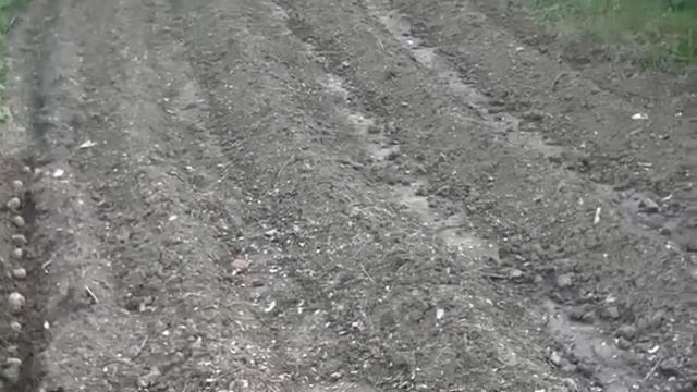 Посадка и обработка картофеля "в гребень" г.Иркутск??? смотреть онлайн