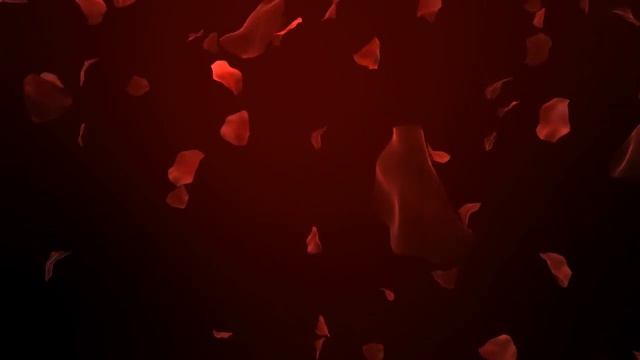 Футаж для видео монтажа Падающие лепестки роз на красном фоне смотреть онлайн