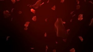 Футаж для видео монтажа Падающие лепестки роз на красном фоне