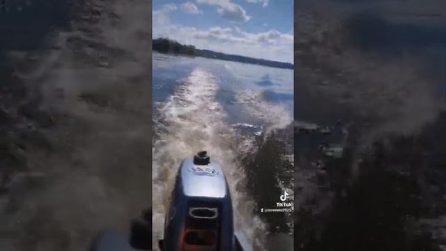 Sea-pro 3л смотреть онлайн