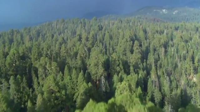Проникновенное учение Дэвида Хокинса смотреть онлайн