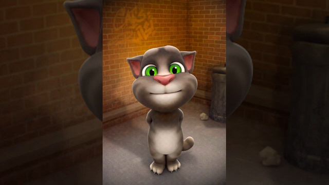 TalkingTomFree(3)