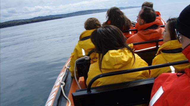 Whale watching may 02 2007 10am mike - oceanexplorations.com смотреть онлайн