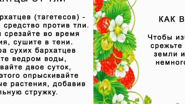В помощь владельцам личных подворий Новоалексеевская сельская библиотека смотреть онлайн