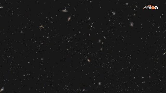 Gli ingredienti di Ross 128b смотреть онлайн