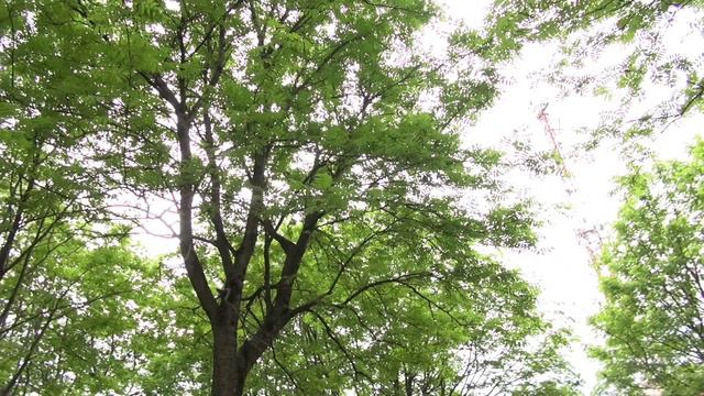 Учитель из глубинки. Школа-студия журналистики Контакт г. Северодвинск