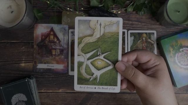Facing Your Insecurities While Safe At Home Tarot And Oracle Reading смотреть онлайн