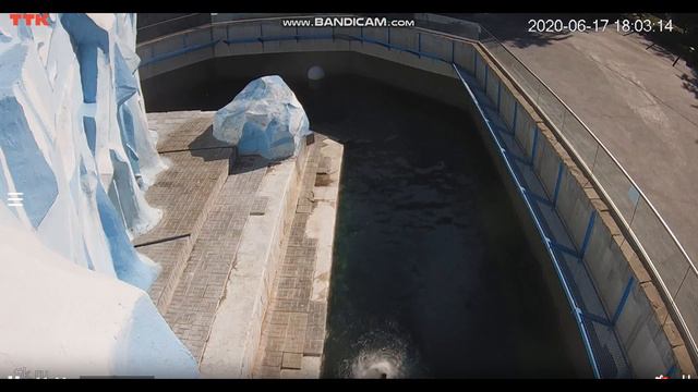 Кай, солнце и чистая водичка 17.06.2020 смотреть онлайн