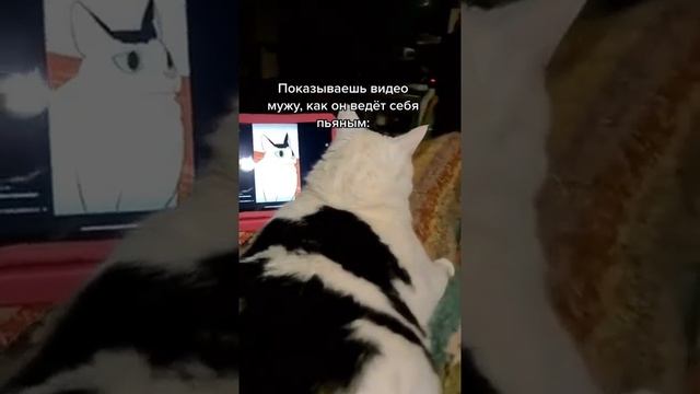 Когда пьяный смотришь свои видео
