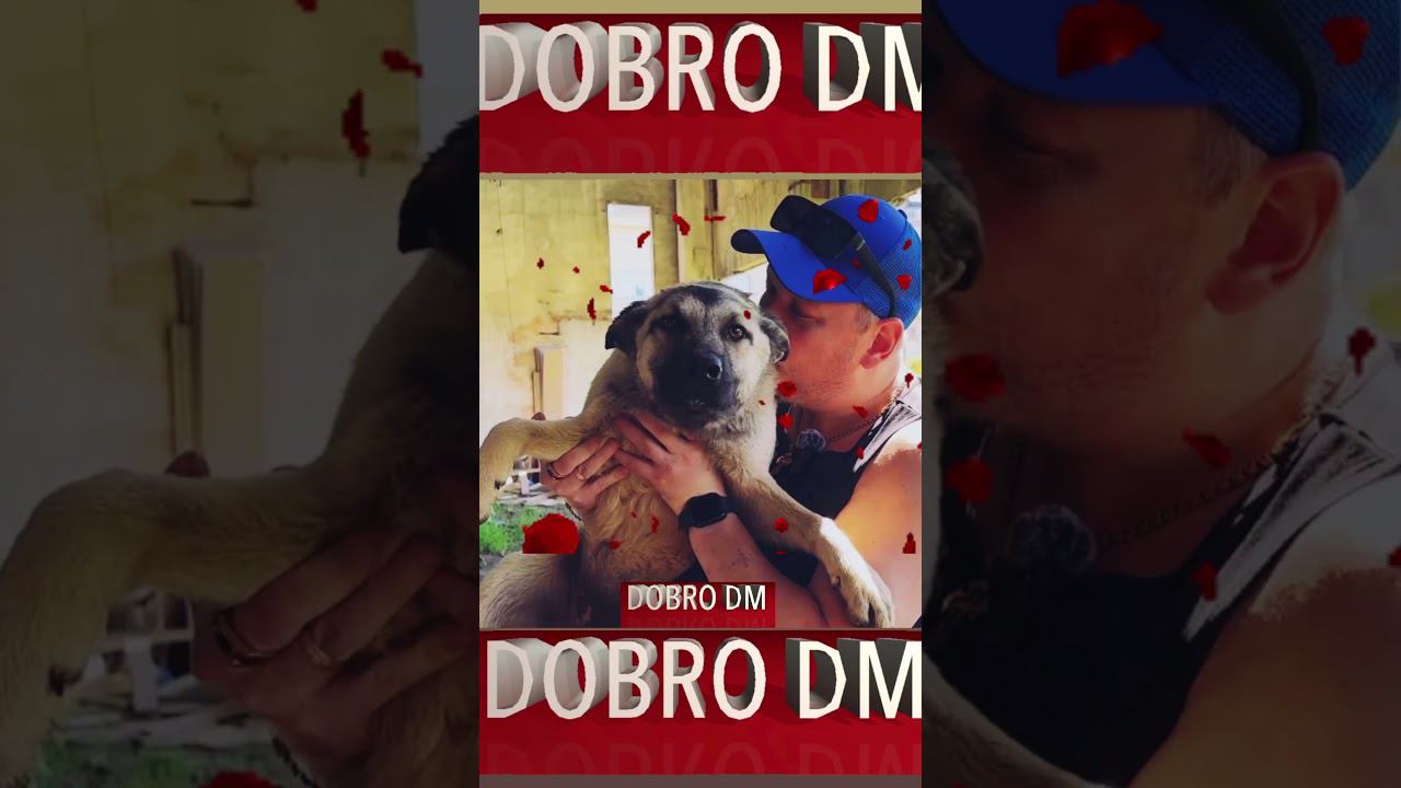 Уже скоро полная версия гимна хвостовЗакончил работу на 90%