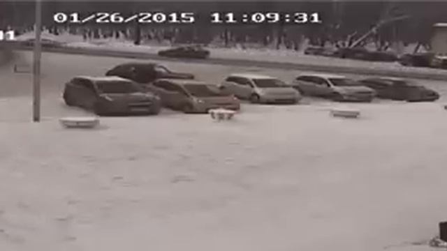 Нива неадекват смотреть онлайн