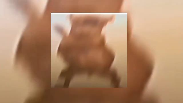 AUTOMOTIVO ANGELICAL - DJ ZK3