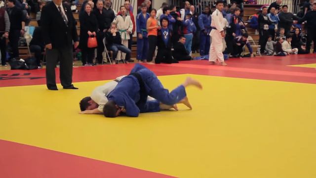 judo tournament смотреть онлайн