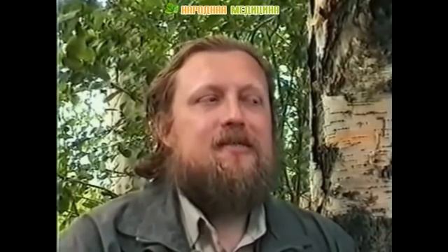 Чага (берёзовый гриб) – полезные свойства и применение чаги, как настаивать чагу, лечение чагой смотреть онлайн