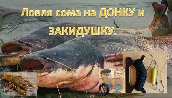 Ловля сома на ДОНКУ и ЗАКИДУШКУ. смотреть онлайн