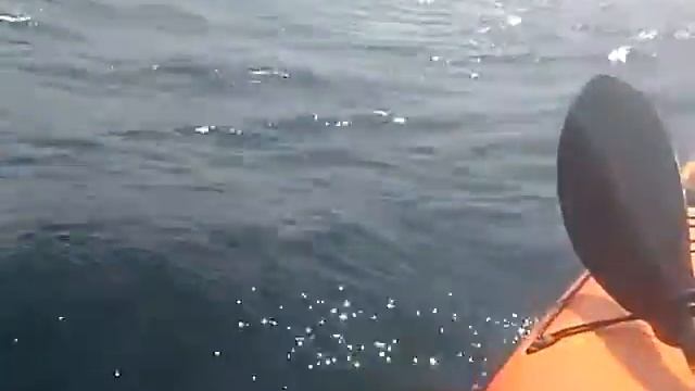 Судак, поход на каяках на "Новый свет" 4 смотреть онлайн