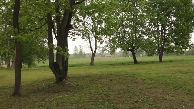 Залесье - Дворцово-парковый ансамбль и музей Огинского смотреть онлайн