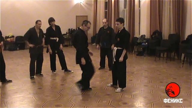 Джиу-джитсу видео