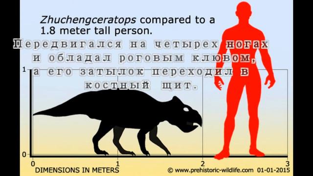 Чжучэнцератопс  Zhuchengceratops Inexpectus