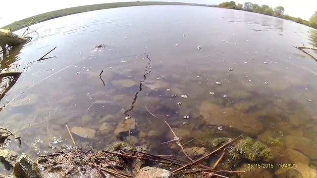 Бешеный клёв карася на пруду в Николаевке, рыбалка онлайн, чистка рыбы автомойкой смотреть онлайн