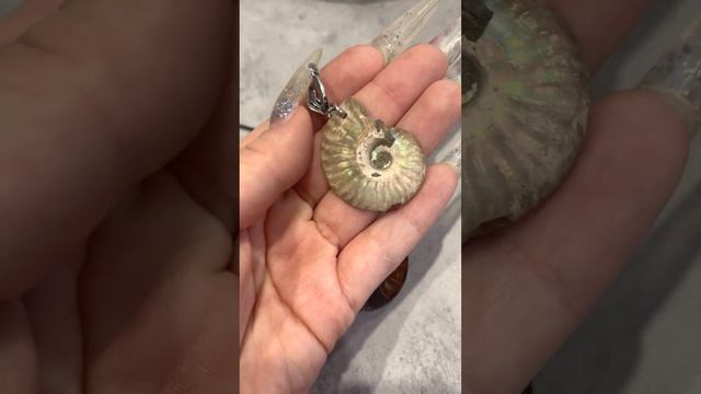 Аммониты Аммолиты комплект для Ларисы смотреть онлайн