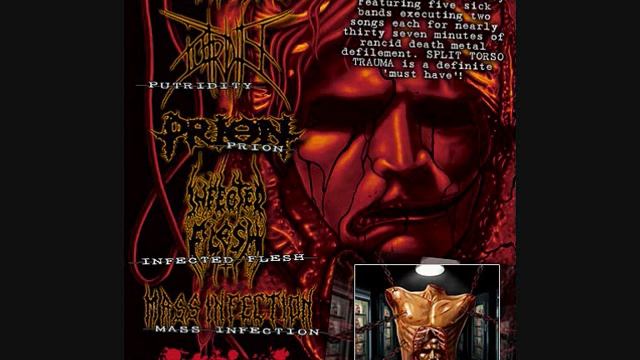 Prion - Losing itself in the infinite - Split Torso Trauma (June 2011) смотреть онлайн