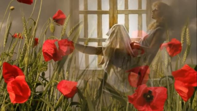 не оставляйте женщину одну.wmv смотреть онлайн