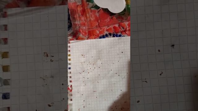 Ремонтная Философия