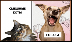 СМЕШНЫЕ КОТЫ И СОБАКИ. Самые лучшие моменты 2022..avi