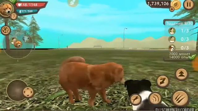 Баг в игре Dog Sim!._.