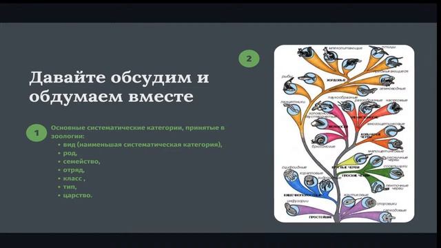 Царство Животные. Study_inc смотреть онлайн