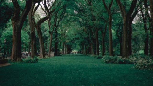 Музыка Manifest It