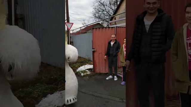 Подруга поздравила одноклассницу с днём рождения с Белым Мишкой!!! Белый Мишка Алматы смотреть онлайн
