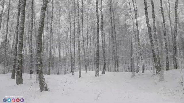 Волшебная музыка зимы! До слез красивая мелодия! Спокойная Музыка Для Снятия Стресса...ЗИМА,СНЕГ смотреть онлайн