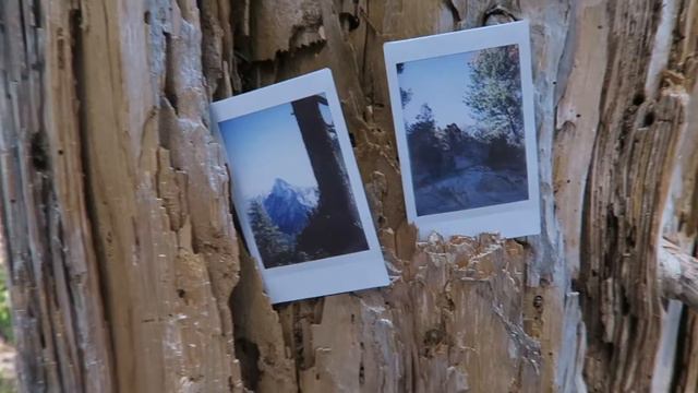YOSEMITE'S GLACIER POINT: A BUCKET-LIST VIEW смотреть онлайн