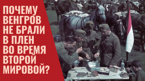 Почему венгров не брали в плен во время Второй Мировой?