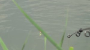 РЫБАЛКА В КРЫМУ,РУСАКОВКА (Белогорский район)