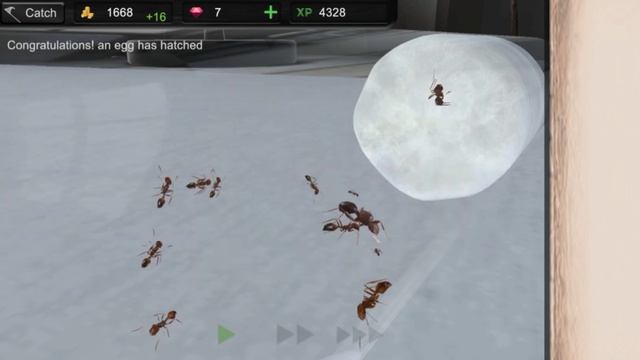 Ant Sim Tycoon (ant keeping game catch, care, feed...) смотреть онлайн