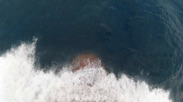 Peyton Lynn C container ship bow splashing through Atlantic Ocean смотреть онлайн