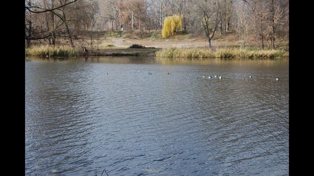 Nikon_D80_test_photo Спасибо Александру за предоставленную камеру смотреть онлайн