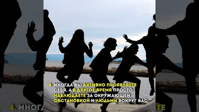 Амбиверт — самый гибкий тип личности. Узнаёте себя? смотреть онлайн