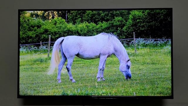 Full Review Of Hisense 43 Inch UHD LED TV 2021  | 43A6GE