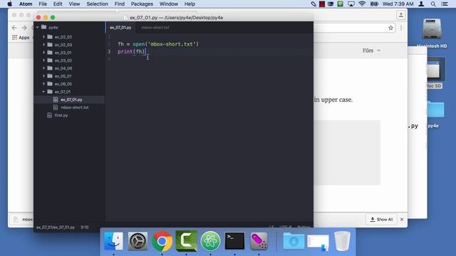Worked Exercise 7.1 - Opening and Reading a File смотреть онлайн