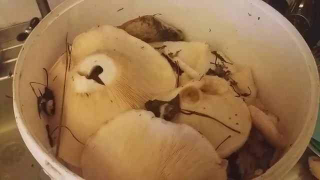 Советы для Творцов