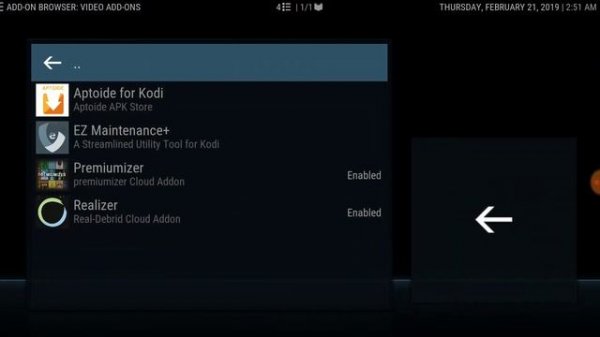 Realizer, Real Debrid, Premiumizer, Premiumize, & Plex