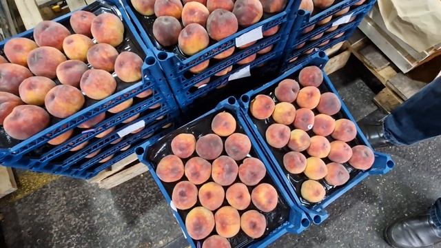 Рынок ФУД-СИТИ Москва Лето2022 \ БОЛЬШОЙ Обзор ЦЕН \ Закупились Овощами Фруктами\ Сколько Потратили