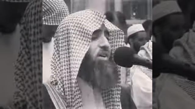 Очень красивое чтения корана..Люхайдан смотреть онлайн