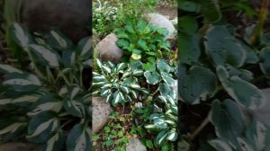 Камни из гипертуфа и пластиковых бутылок